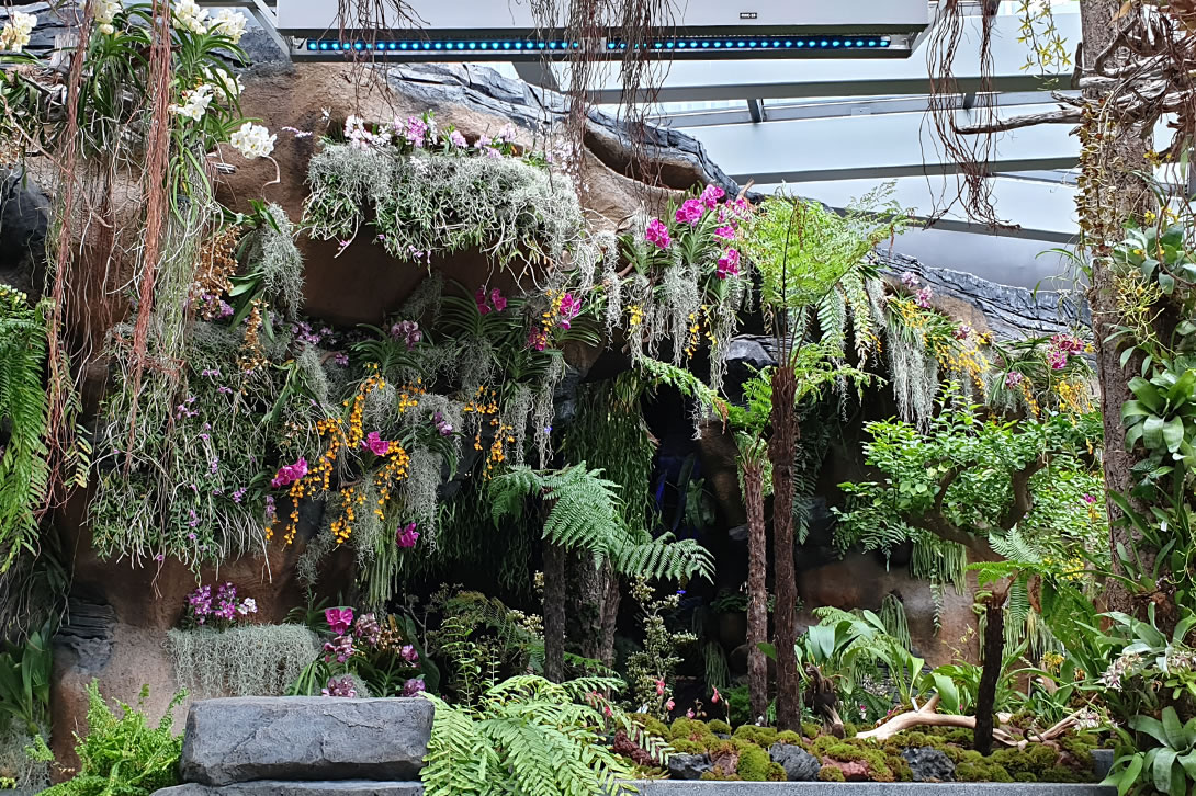 Floral Fantasy at Gardens by the Bay Reopens with Vibrant Blooms